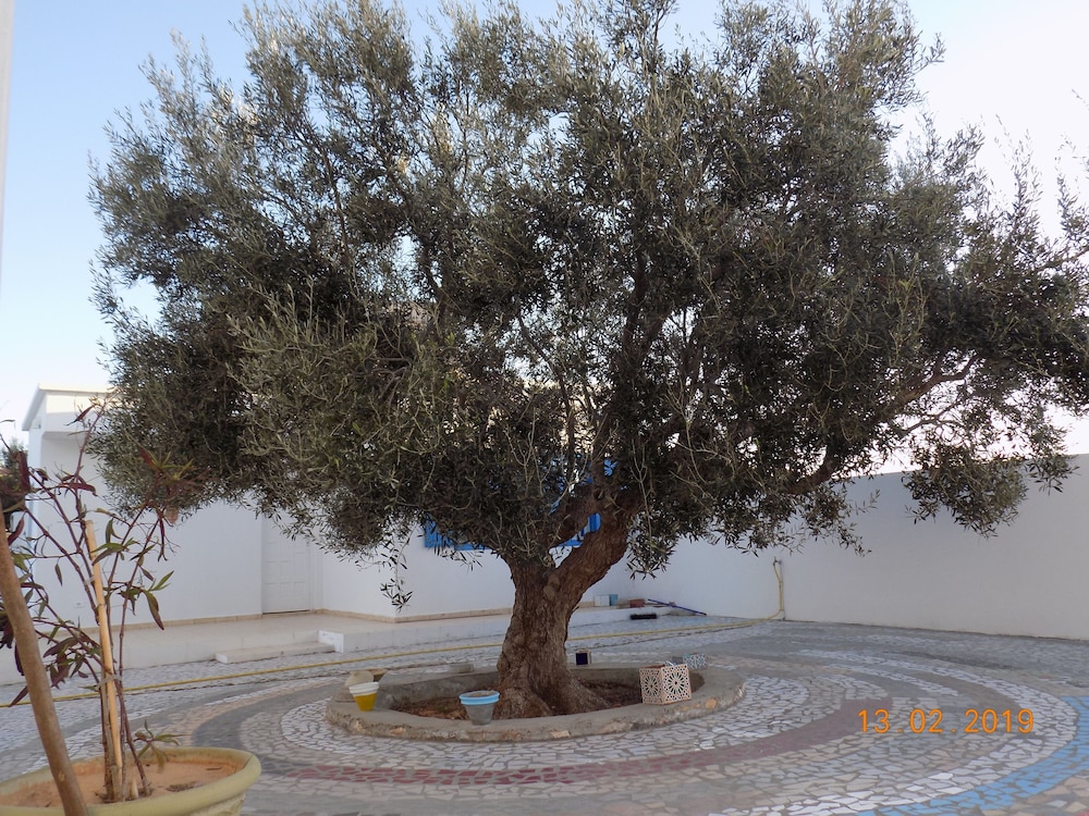 Photo 37