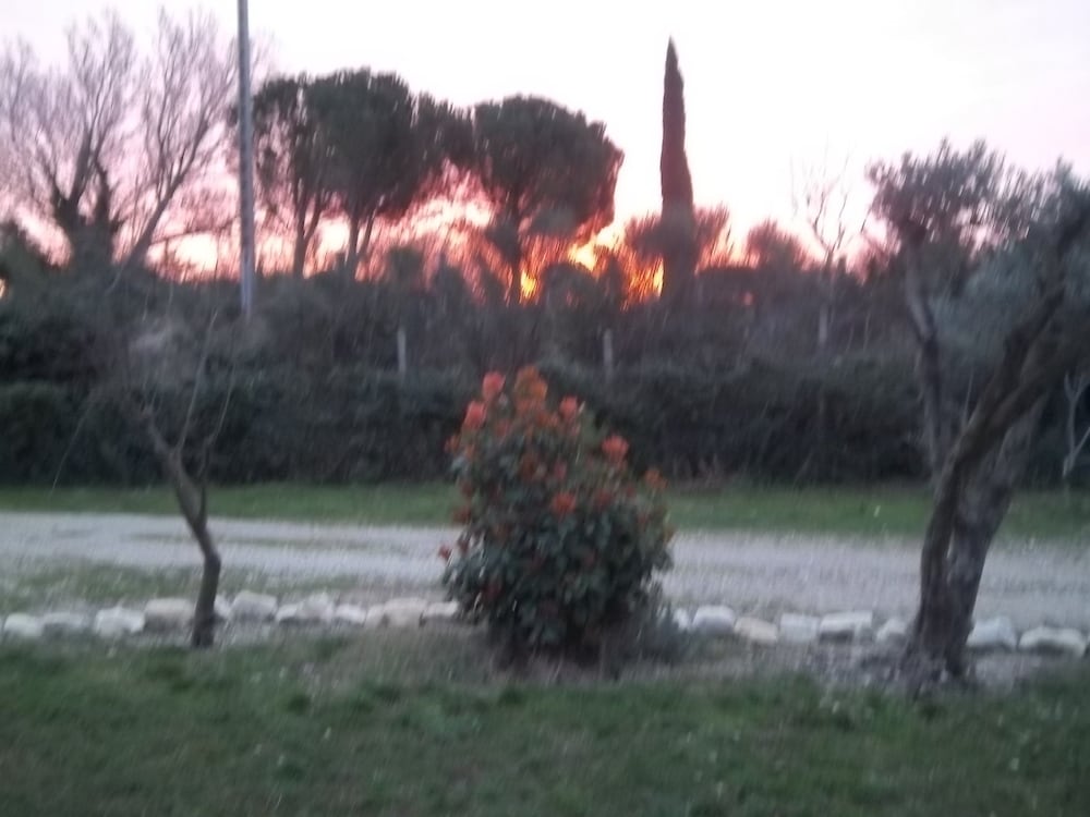 Le Petit Frigouye
