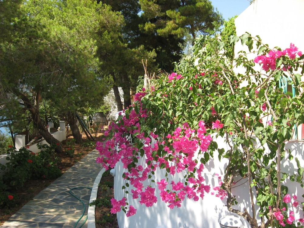 Photo 40