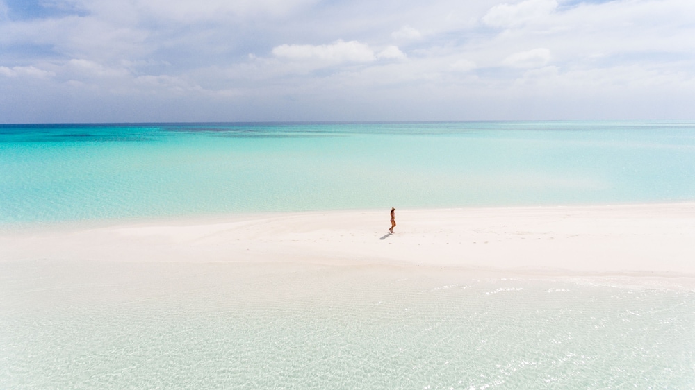 Olive Goidhoo