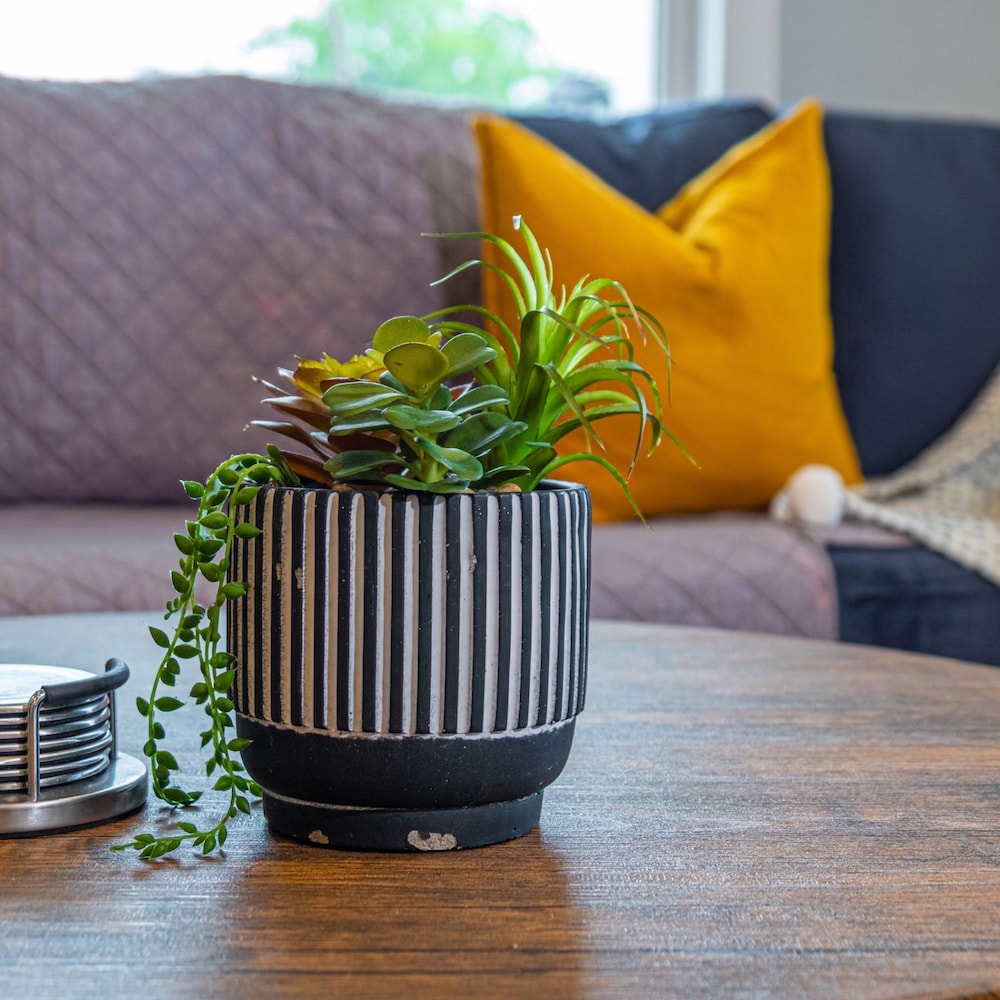 Trendy Historical Home Near Downtown Attractions