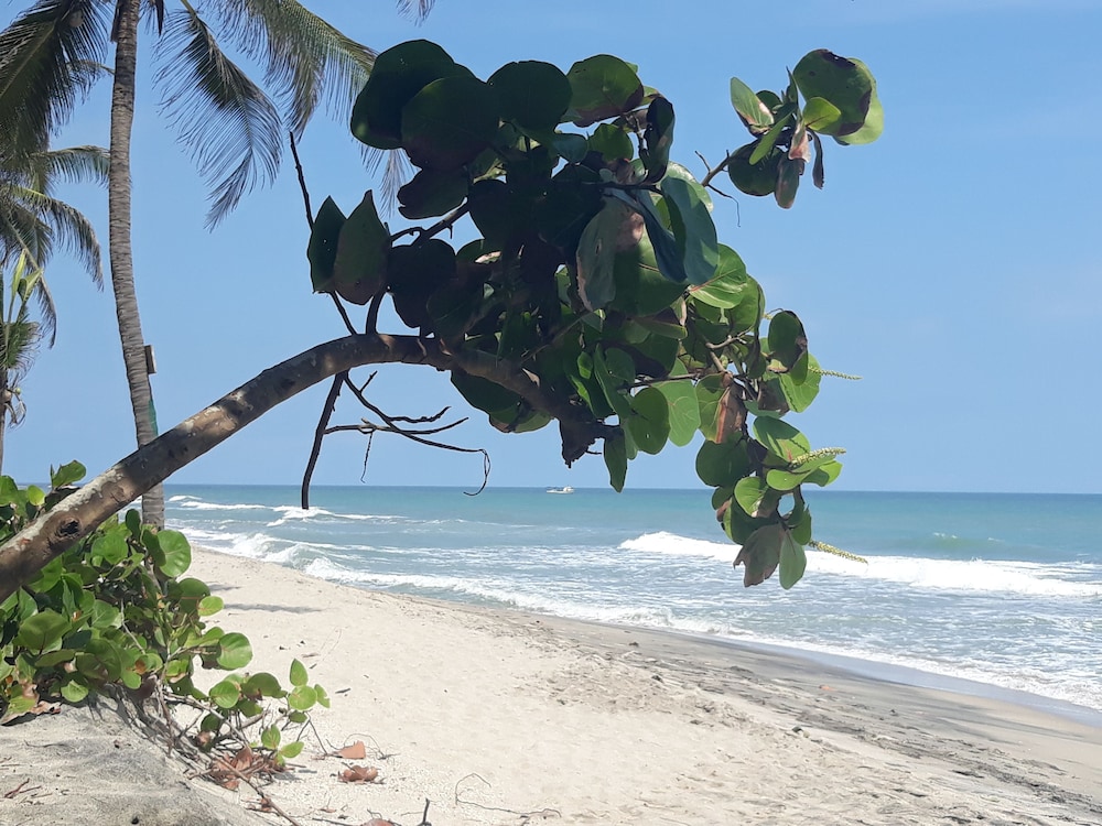 Prima Luna Palomino - Property Image 54