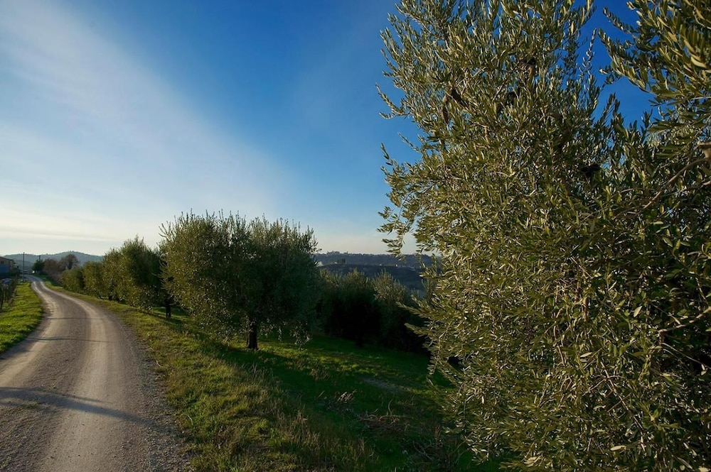Agriturismo Serena