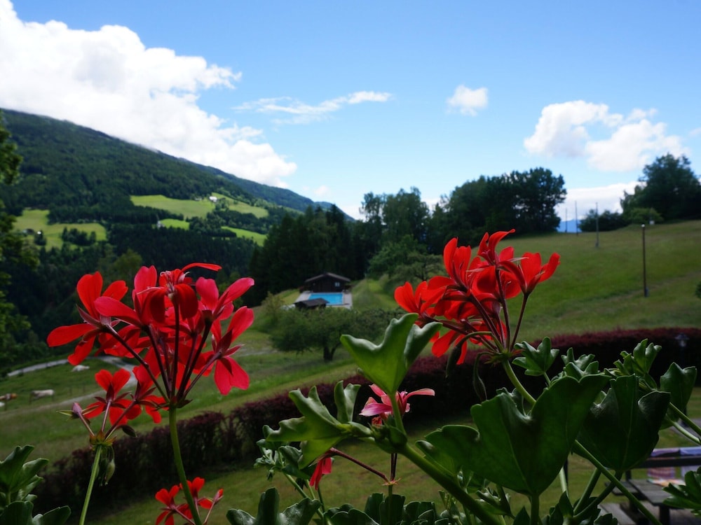 Farmhouse in Nockberge Near Ski Slopes