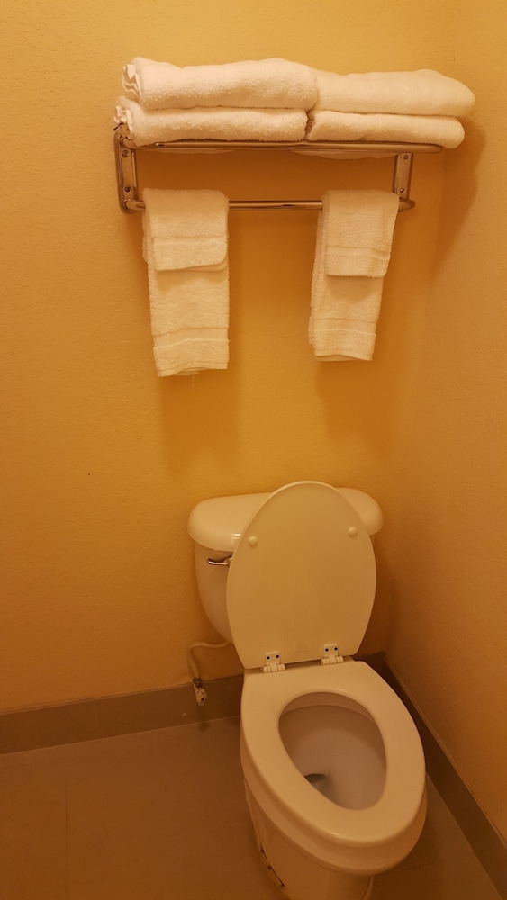 Tampa Vacations - Econo Lodge Busch Gardens - Property Image 35