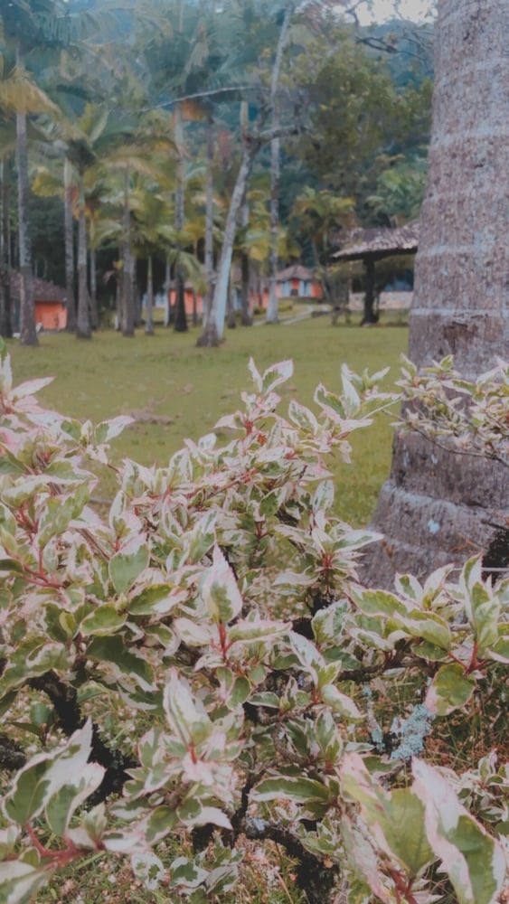 Pousada Villa da Glória