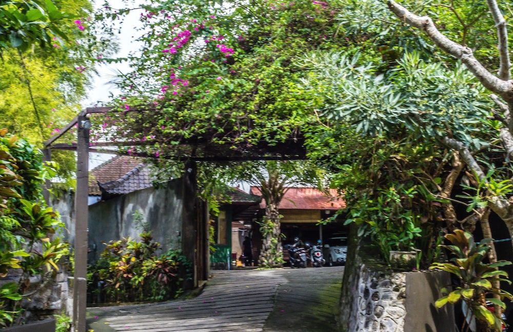 Devi's Place