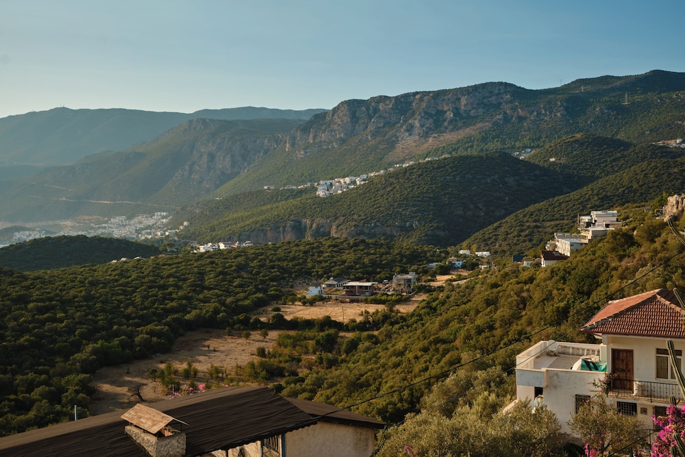 Kaktus Villa 2
