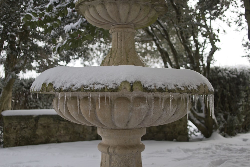 Photo 11