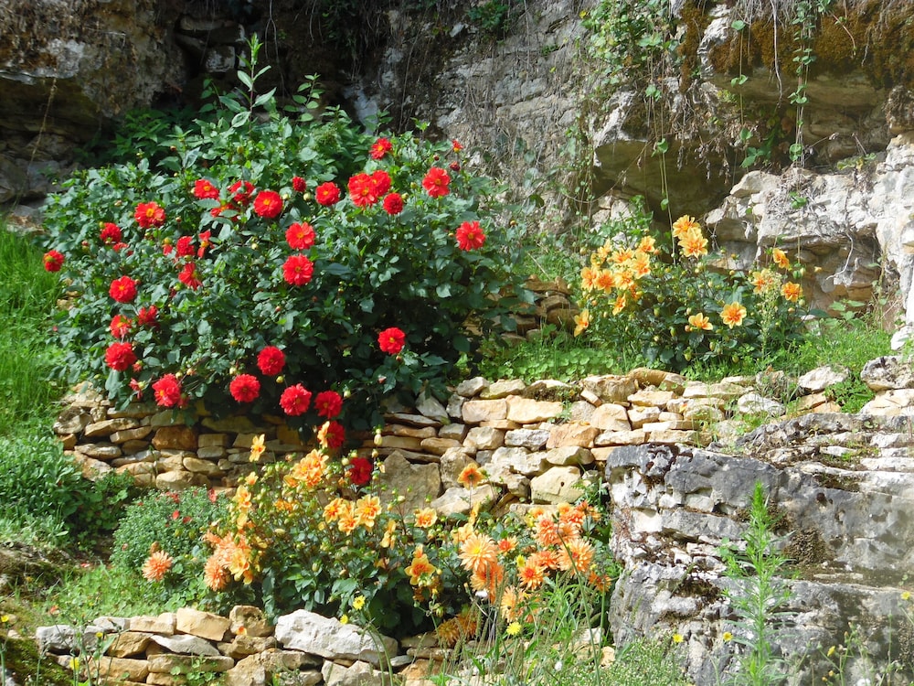 Photo 25