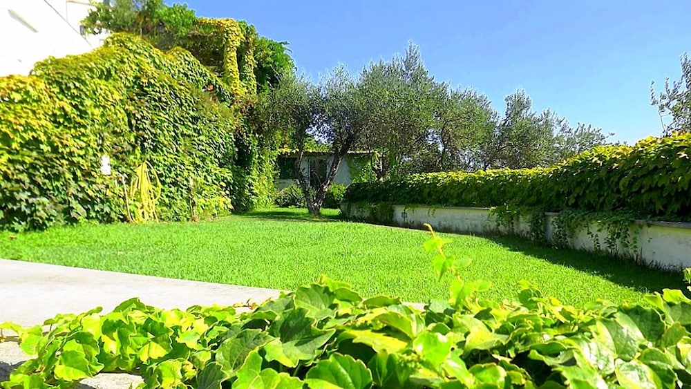 Photo 26