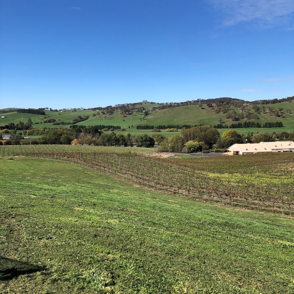 Turners Vineyard