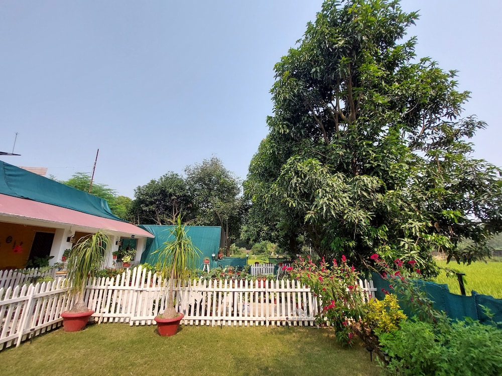 Koko's Farm