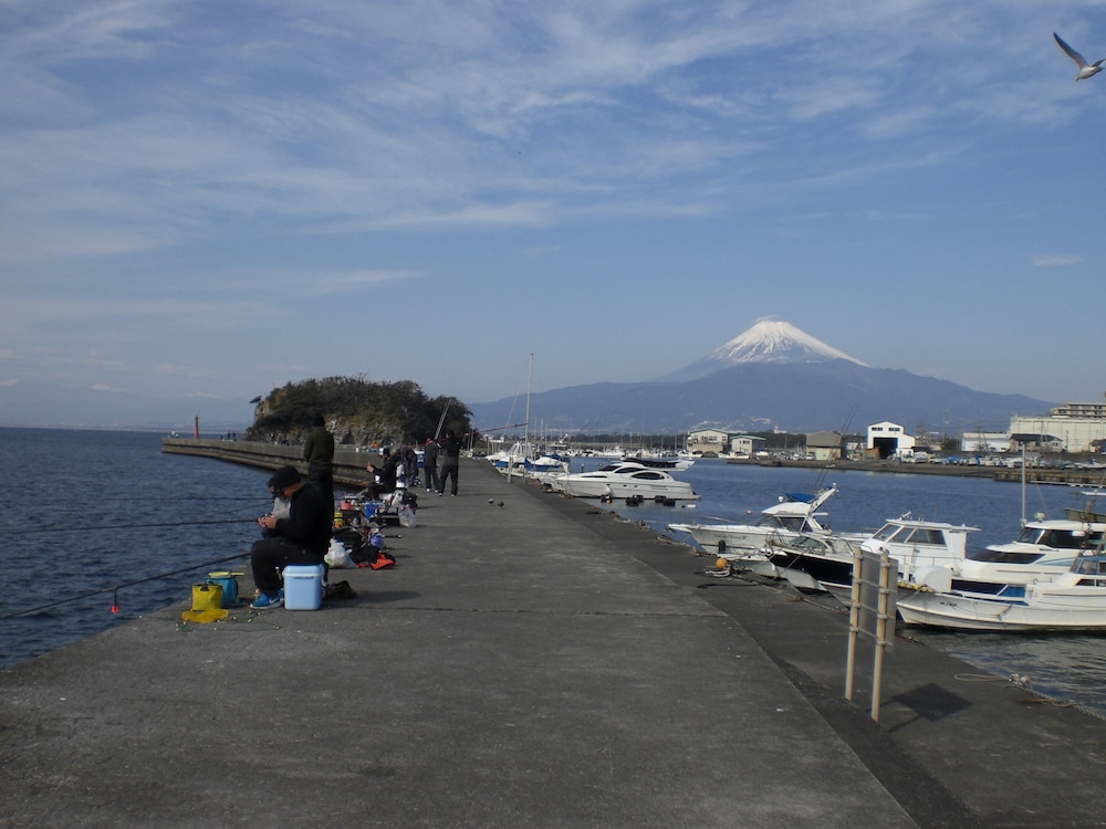 Photo 50