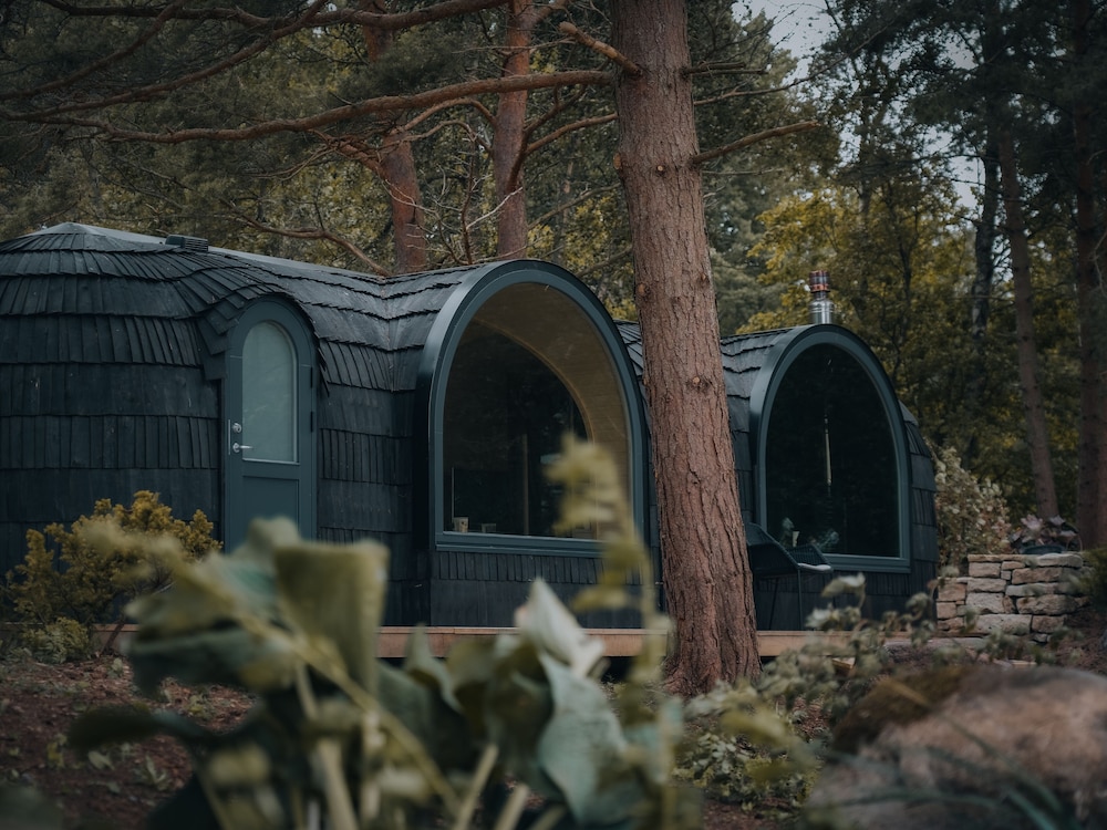The Forest at Mount Congreve Gardens