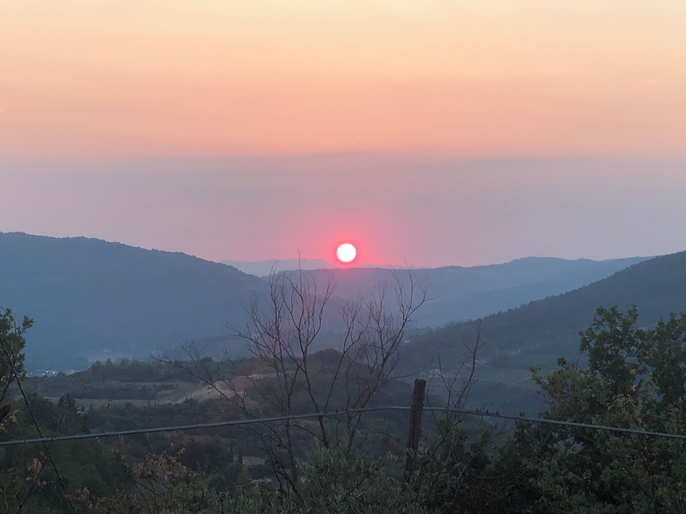 AZIENDA AGRICOLO IL POGGIOLINO