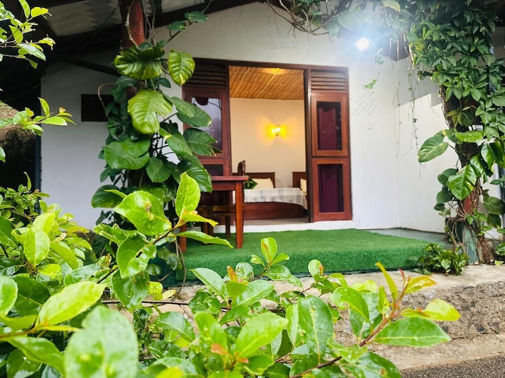 Ella Hide Forest Cottage