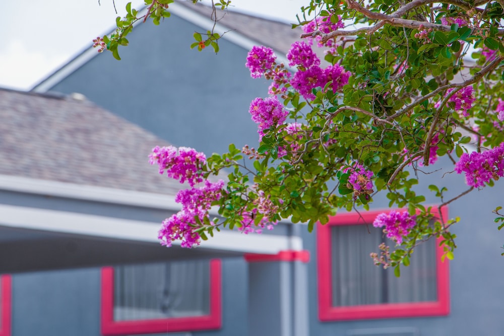Americas Best Value Inn Donaldsonville