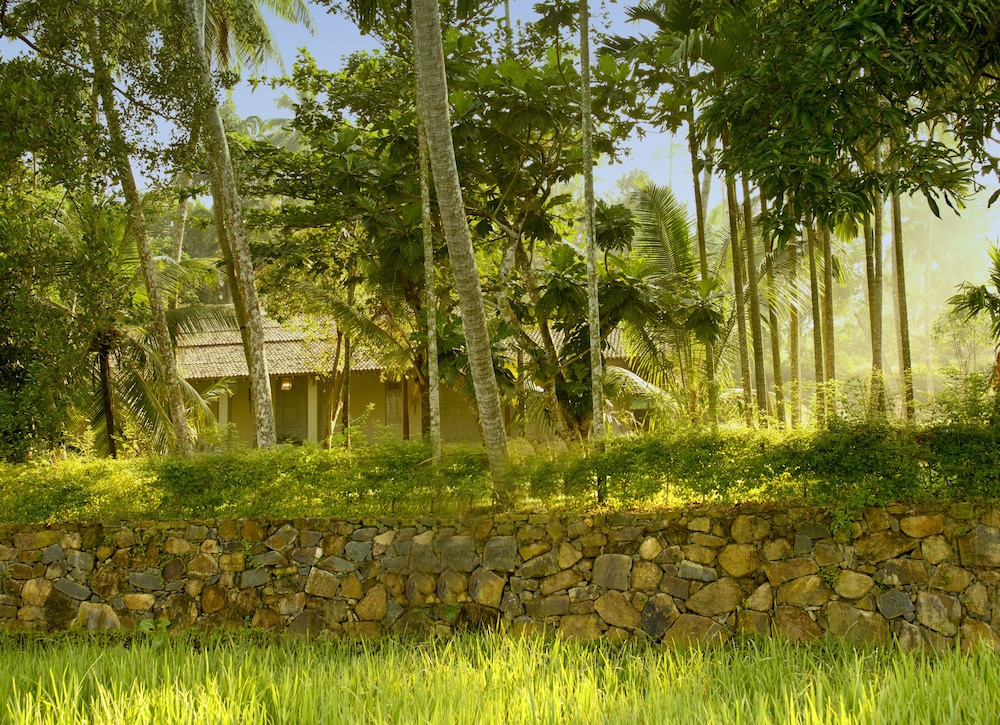 Ivory House