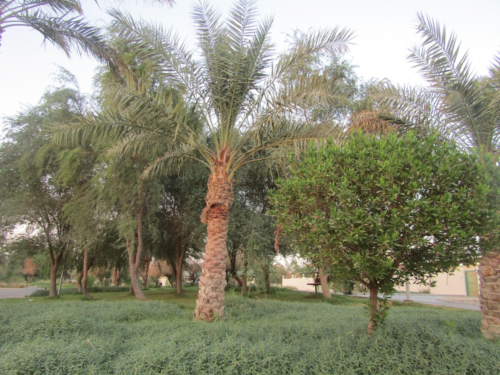 Green Mubazzarah Chalets