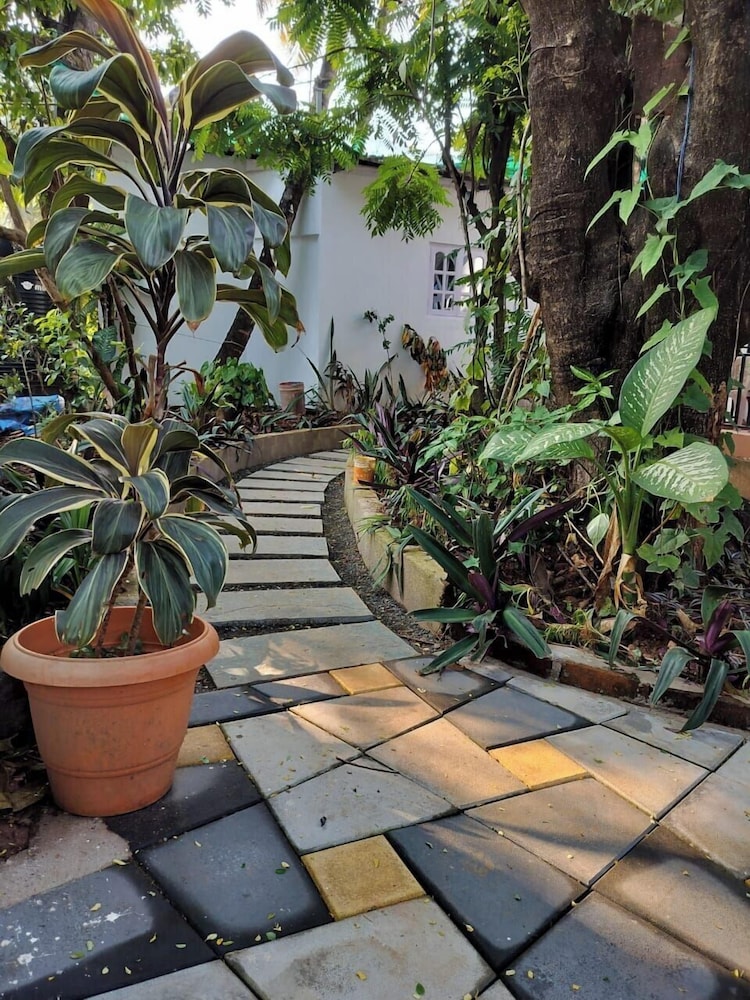 Whispering Palms Anjuna