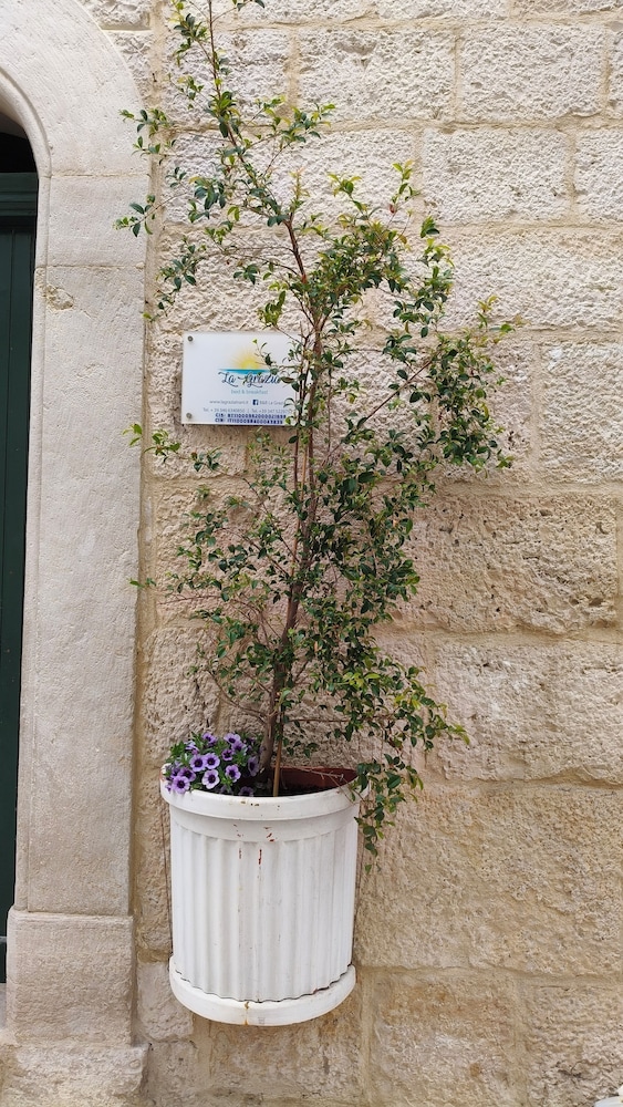 La Grazia Trani