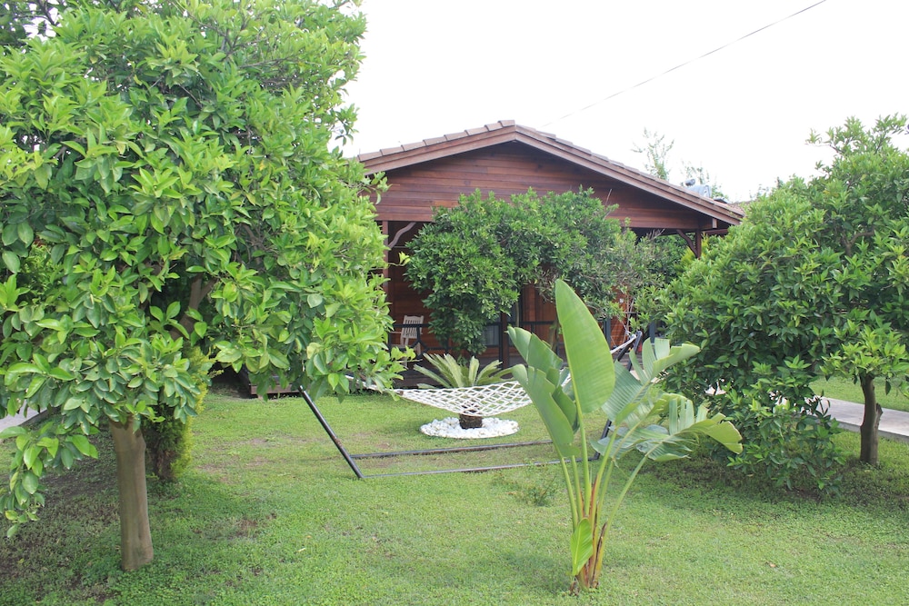 Cirali Villas Hotel Pansiyon view 2