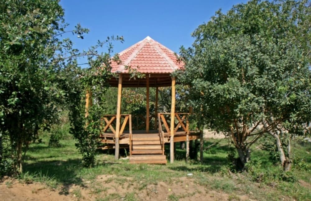 Lilin's Place