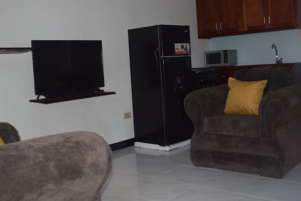 256 Jamaica view 3
