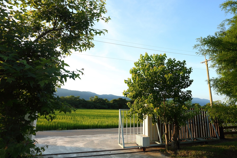 Focacia BNB