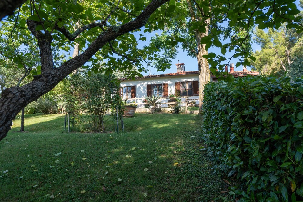 Villa Campiglia photo 5