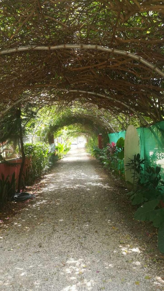 Apartamentos Massai