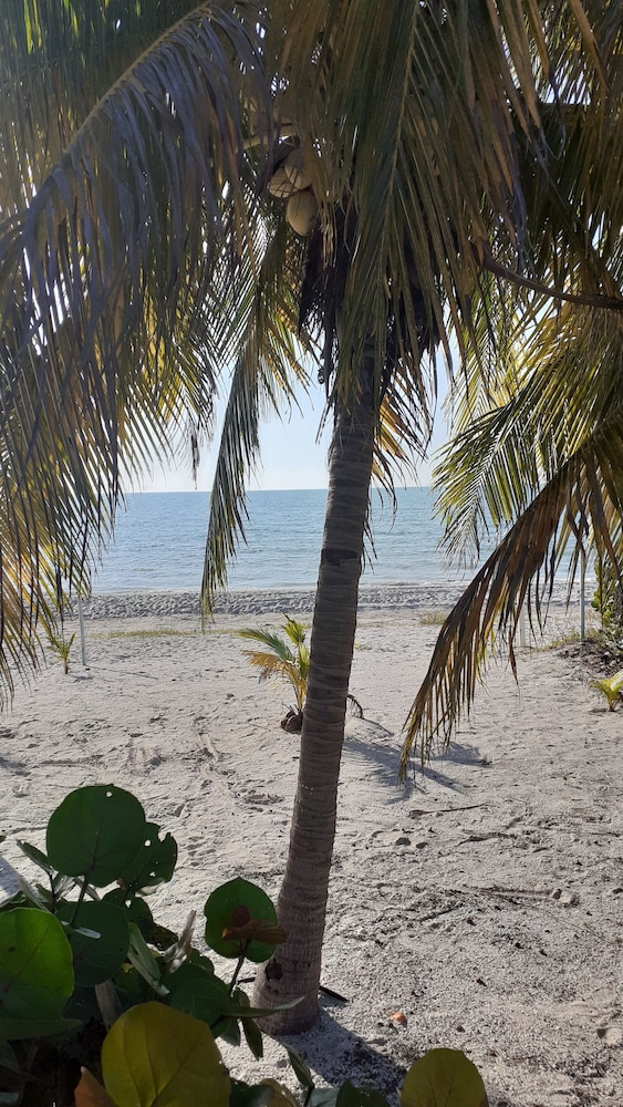 Flamingo Guest House Celestún