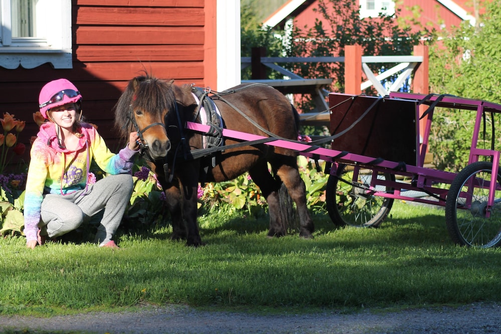 Photo 44
