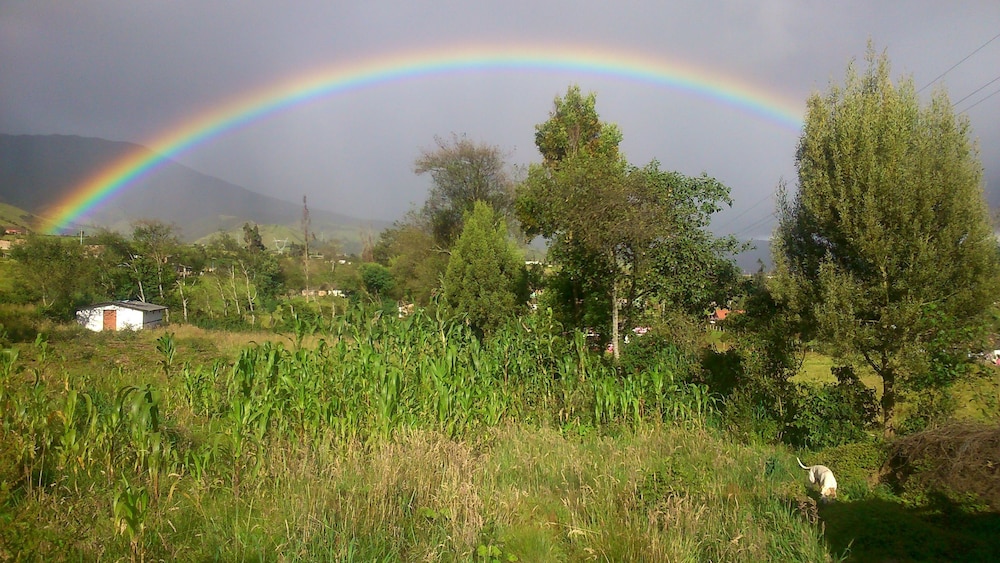 The Lost Leprechaun Ecohostel