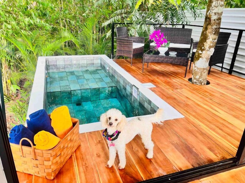 Hotel Guest House Pura Vida - Image 1