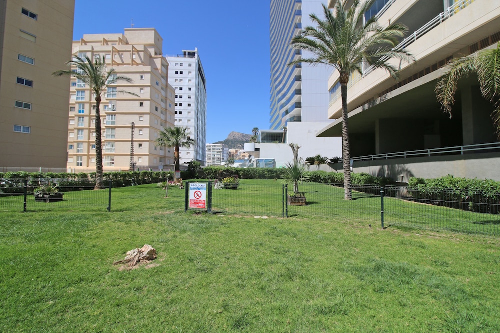 Photo 19
