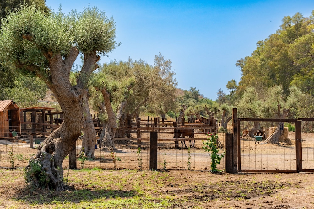 Appartamento Giove con Piscina by Wonderful Italy
