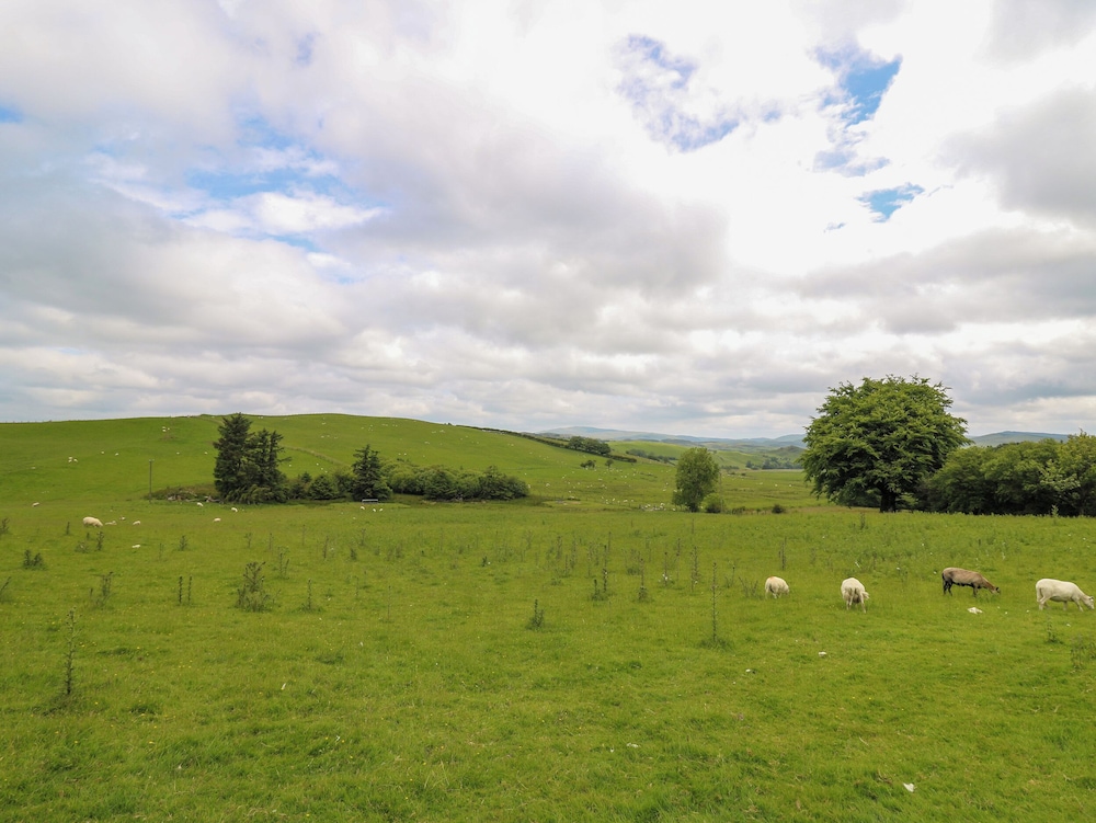 Plynlimon View