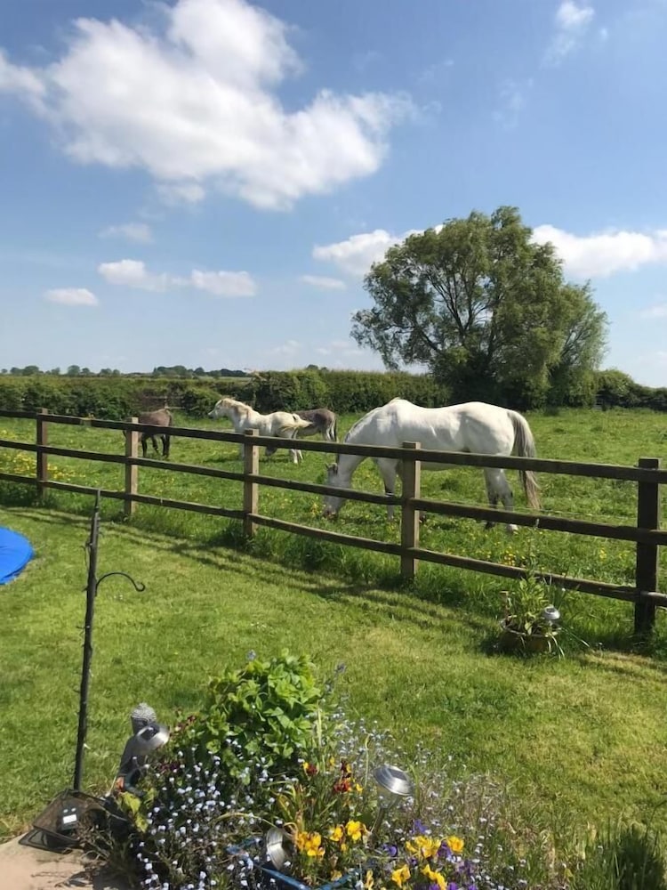 The Paddock at Peacock Farm