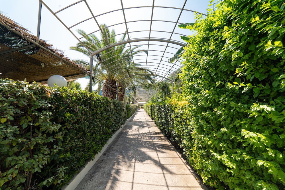 Testa di Monaco Natural Beach photo 4