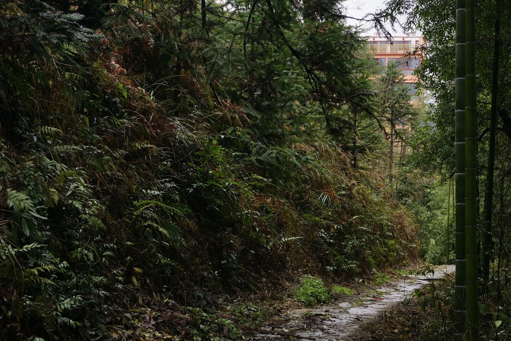 Longji Rice Terraces Hostel