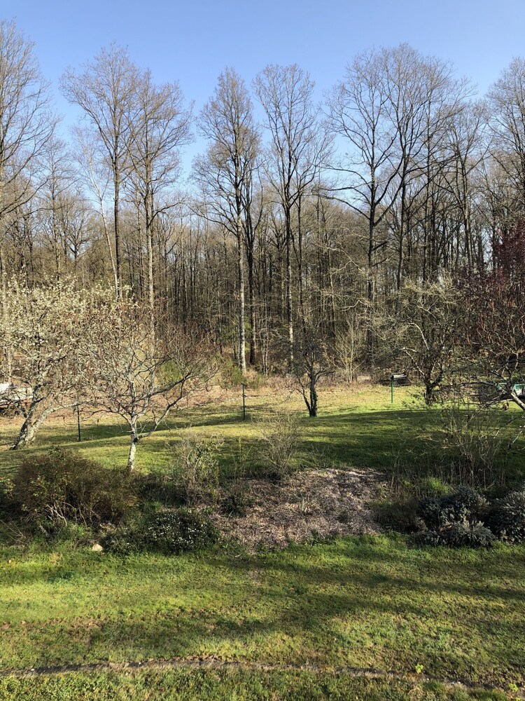 Photo 27