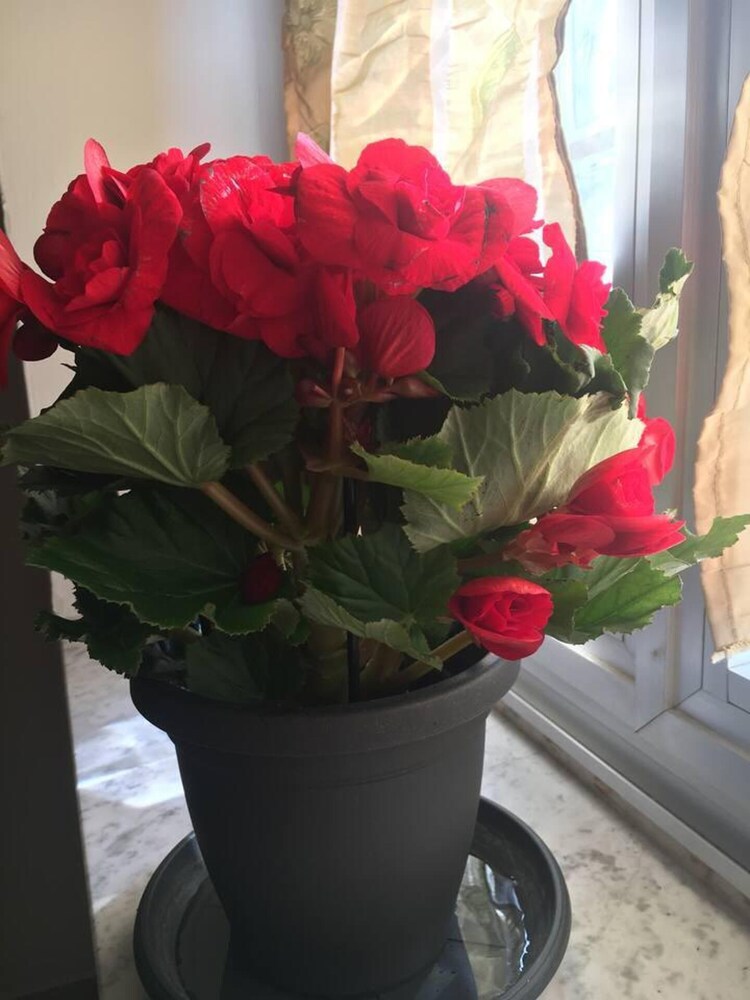 Photo 33