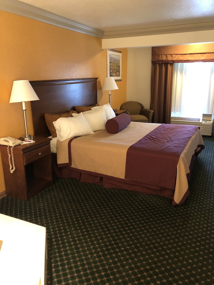 Cloverdale Wine Country Inn  Suites - Property Image 39