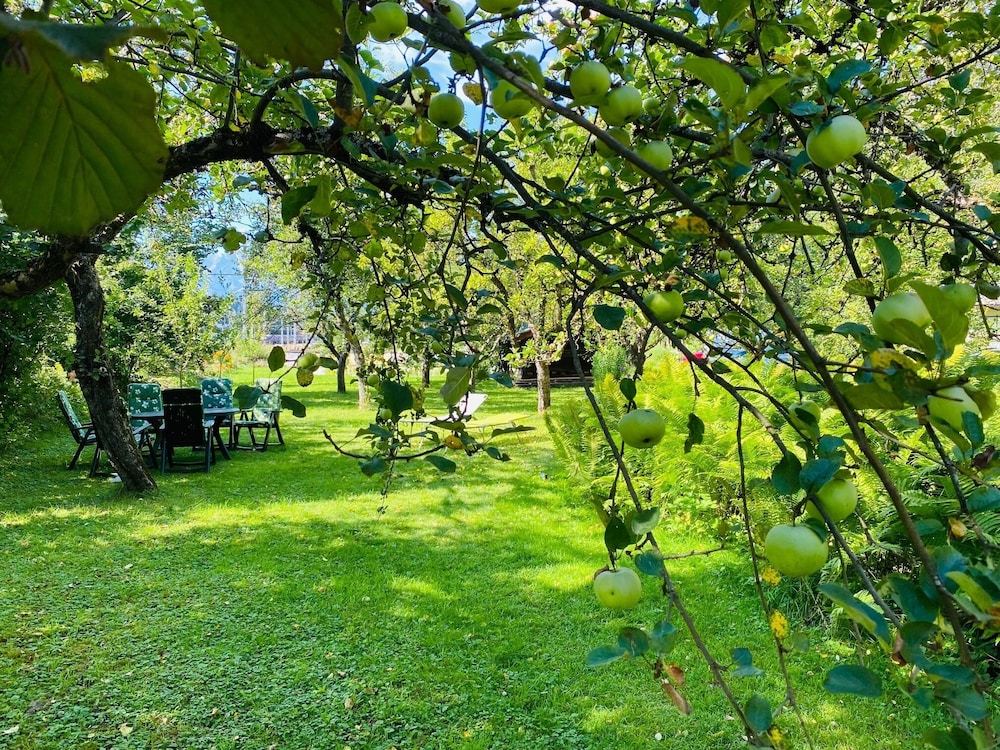 Pension Rainhof