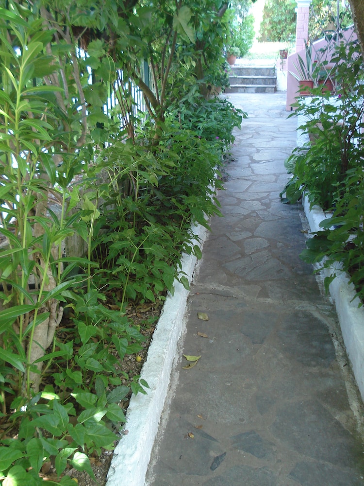 Photo 28