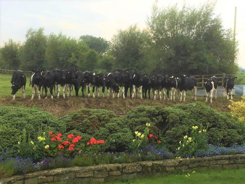 Double-gate Farm