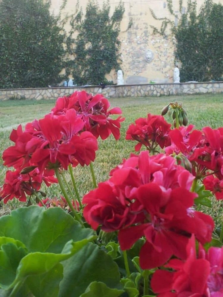 B&B Nonna Grazia