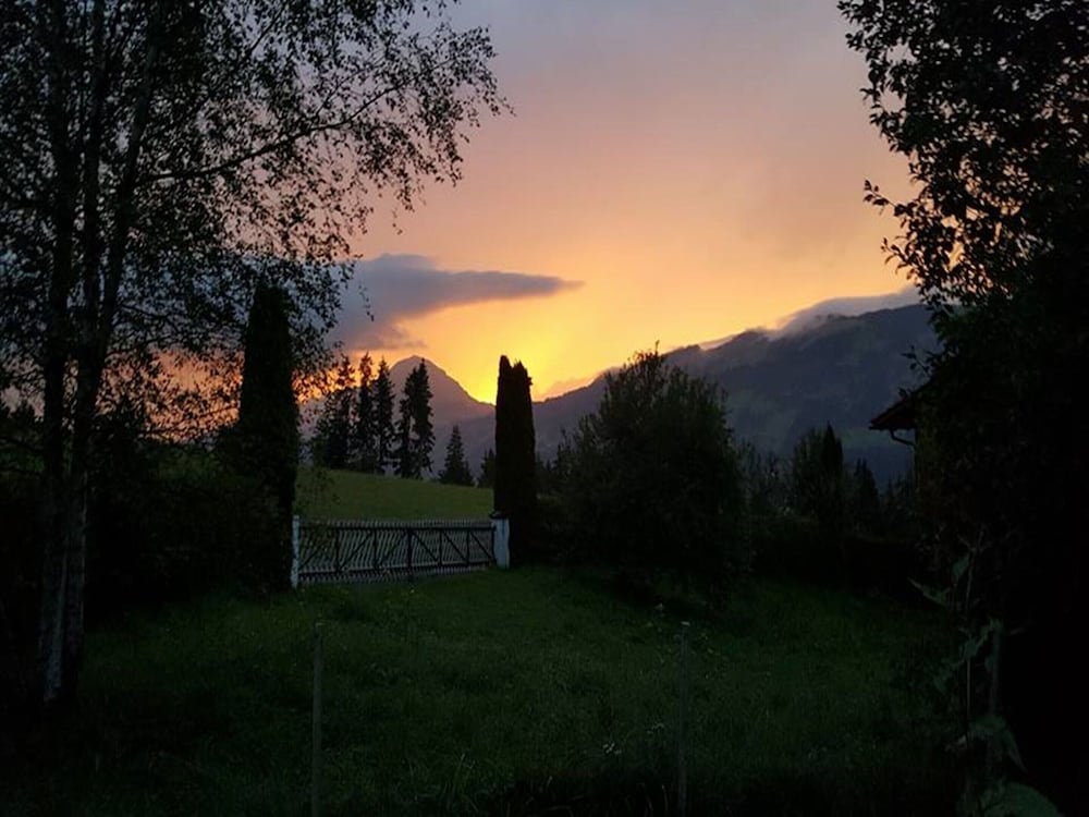 Photo 31